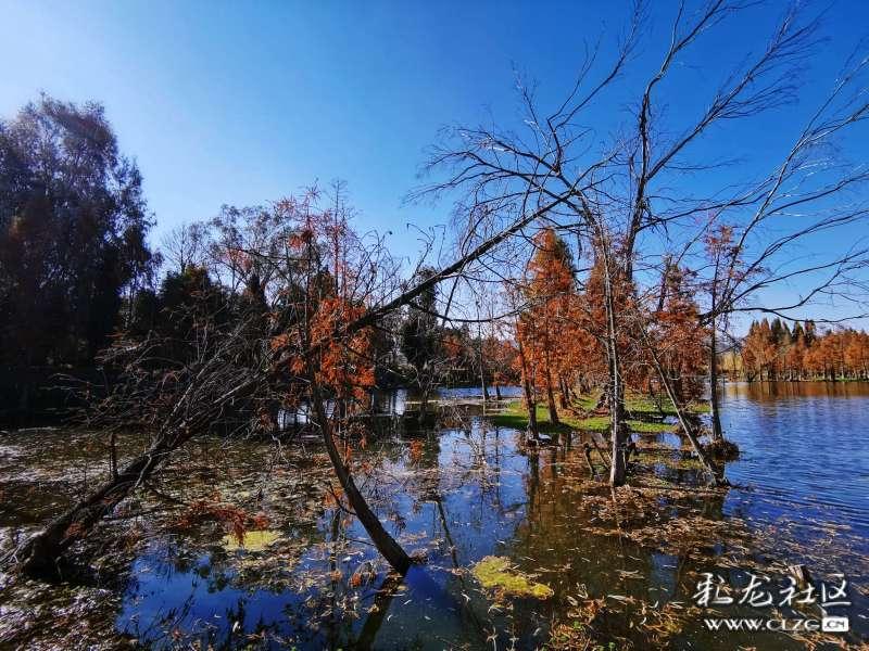 去鱼尾纹用什么眼霜眼膜好?2022年保湿紧致眼霜眼膜排行榜