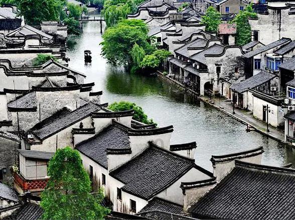 官方“护航”！洛阳单用途商业预付卡监管平台已入驻商户153户
